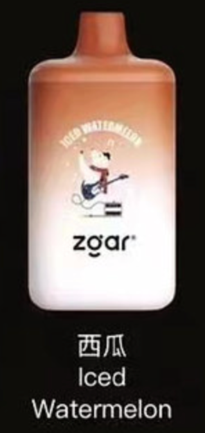 Ice Bear Disposable Ice Box