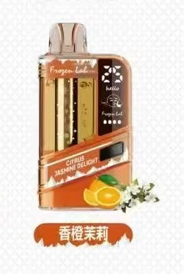 Frozen Lab 一次性