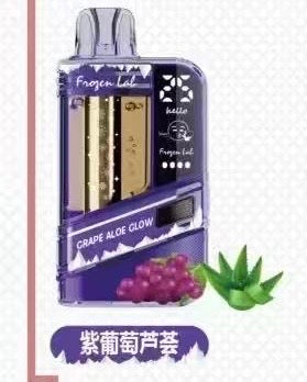 Frozen Lab 一次性