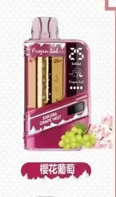 Frozen Lab 一次性