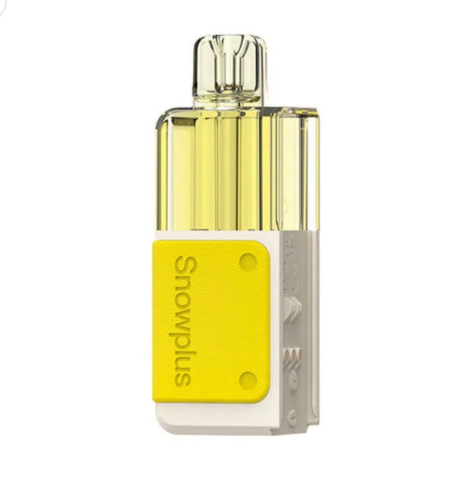 Snowplus Swift 乐高积木