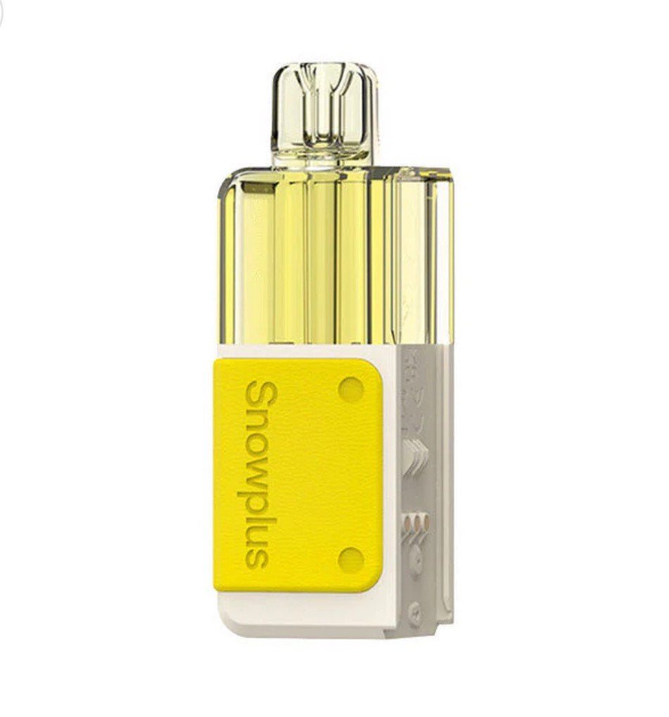 Snowplus Swift 乐高积木