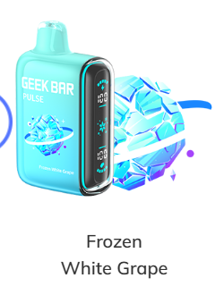 GEEKBAR PLUSE