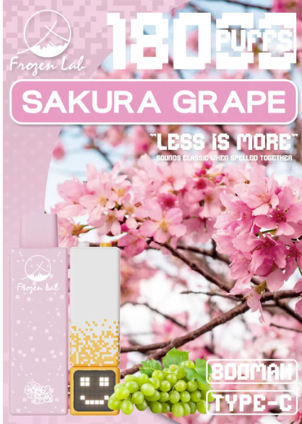 Frozen Lab积木三代