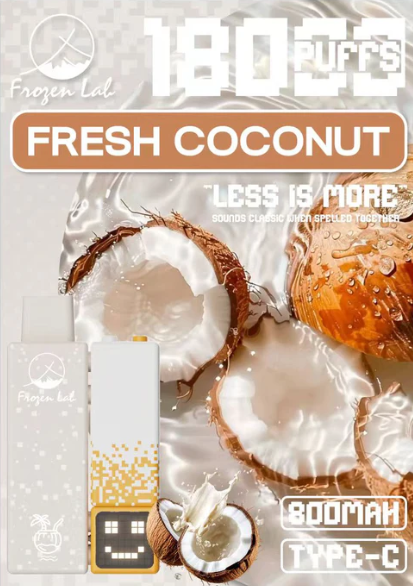 Frozen Lab积木三代