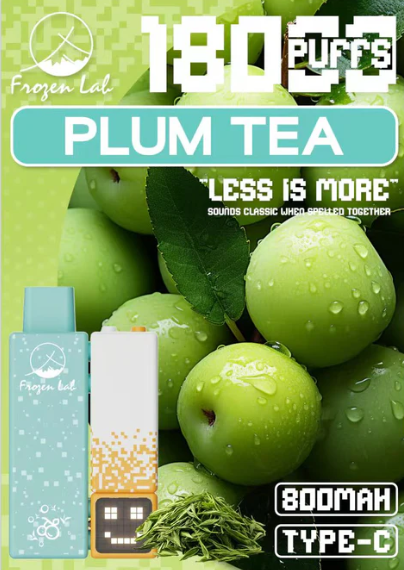 Frozen Lab积木三代