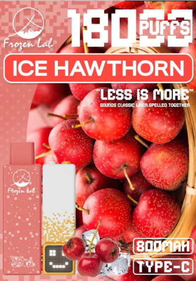 Frozen Lab积木三代