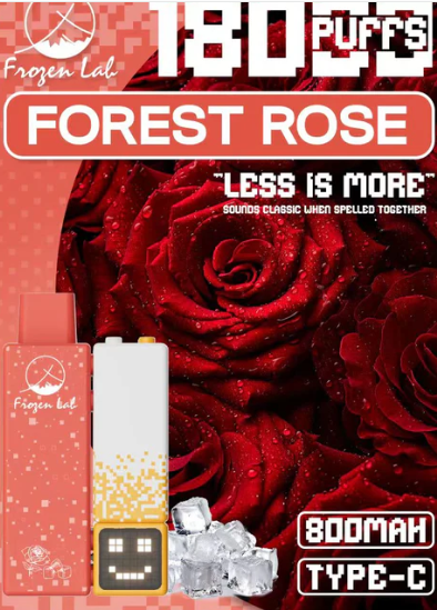 Frozen Lab积木三代