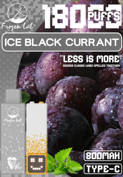 Frozen Lab积木三代