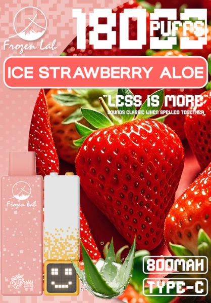 Frozen Lab积木三代