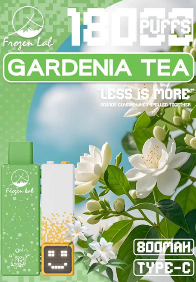 Frozen Lab积木三代